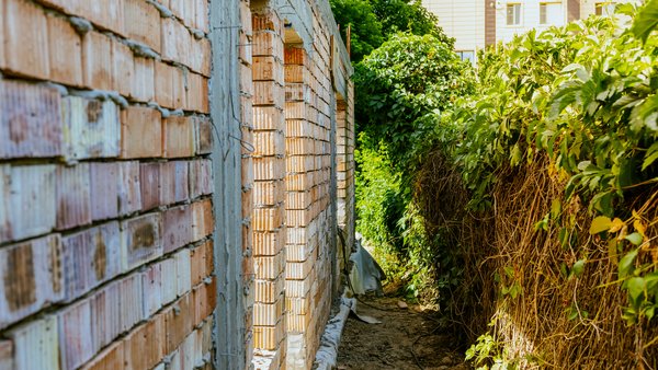 Overgrown narrow path running alongside a property wall, illustrating a prescriptive easement after Land Titles conversion