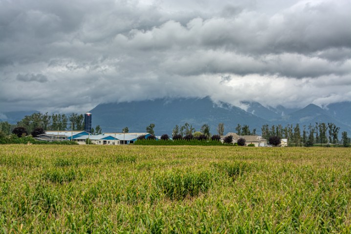 rural farmland